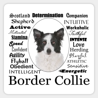 Border Collie Traits Sticker